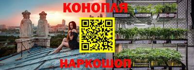 мяу мяу мука Славгород