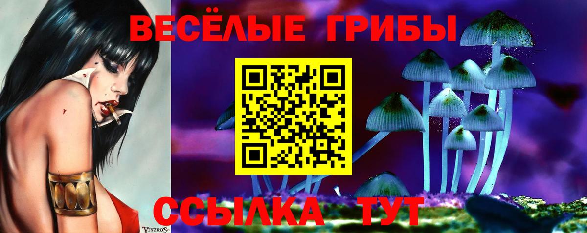 где найти   Галлюциногенные грибы прущие грибы  Галлюциногенные грибы GOLDEN TEACHER  Вход с VPN  Лысьва 